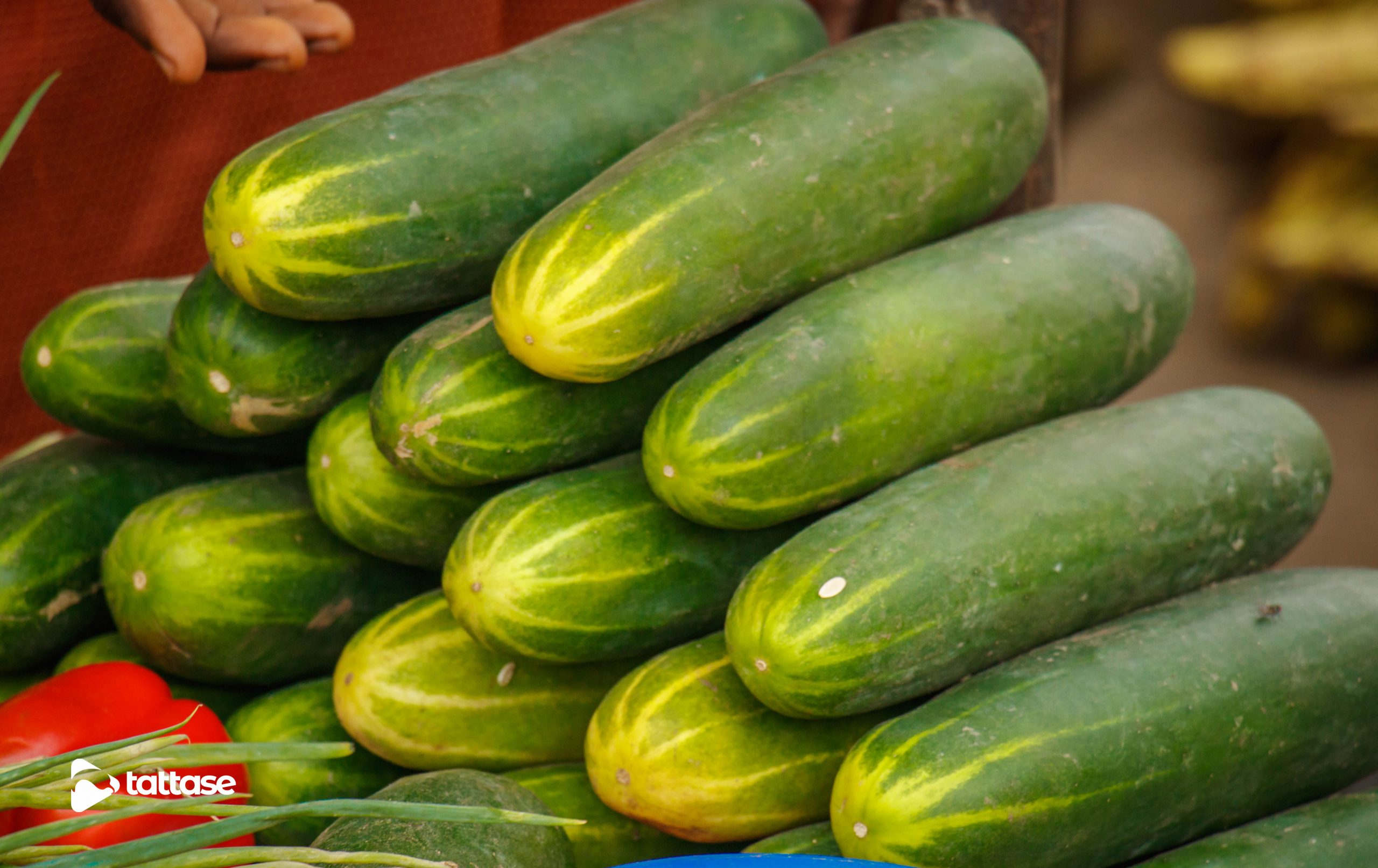 8 Reasons Why You Should Eat Cucumber Everyday! No 5 Will Shock You.