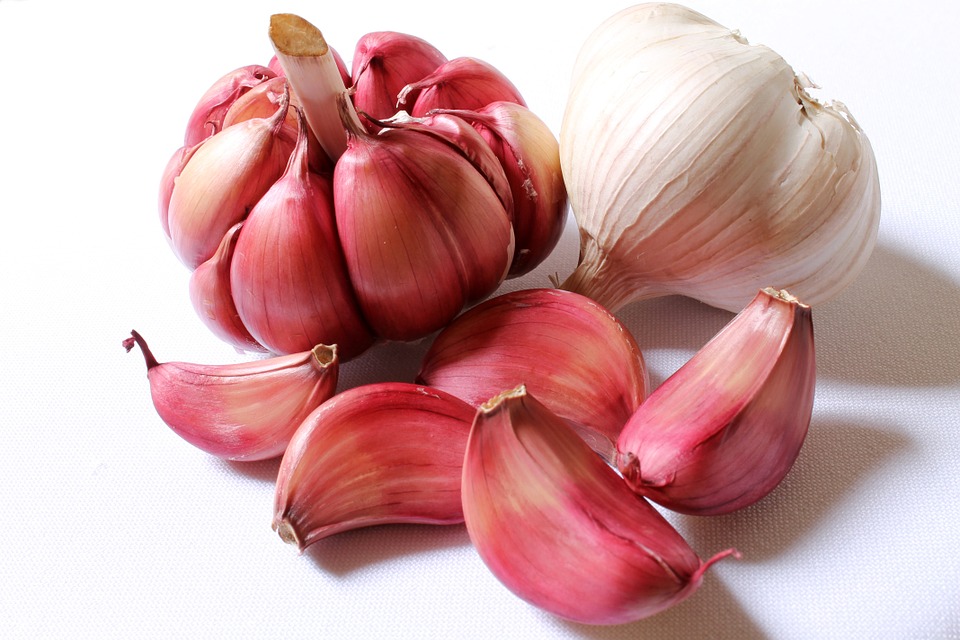 Handy DIY Guide To Garlic Farming