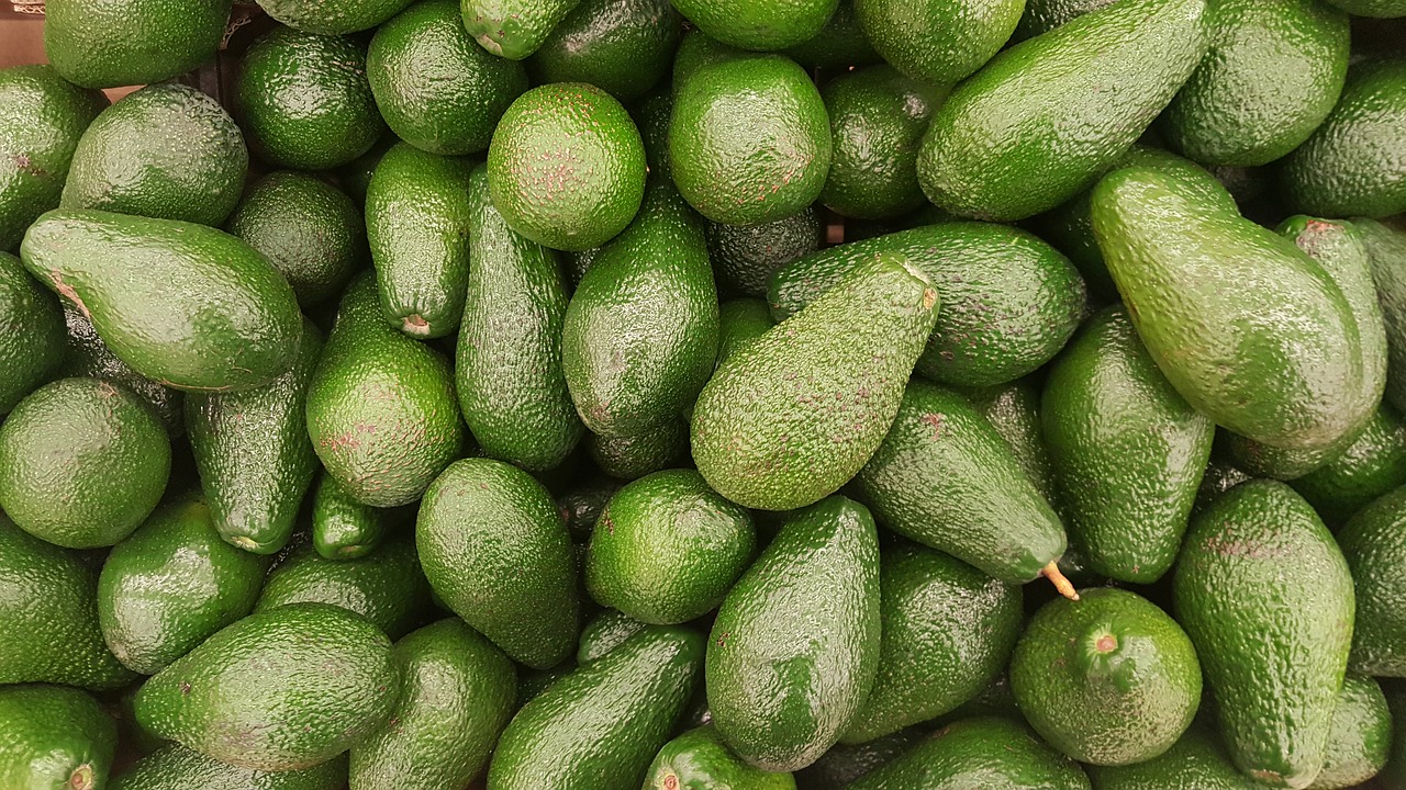 Kenyan Fresh Produce Exporters Ready Inaugural Fresh Avocado Exports To China
