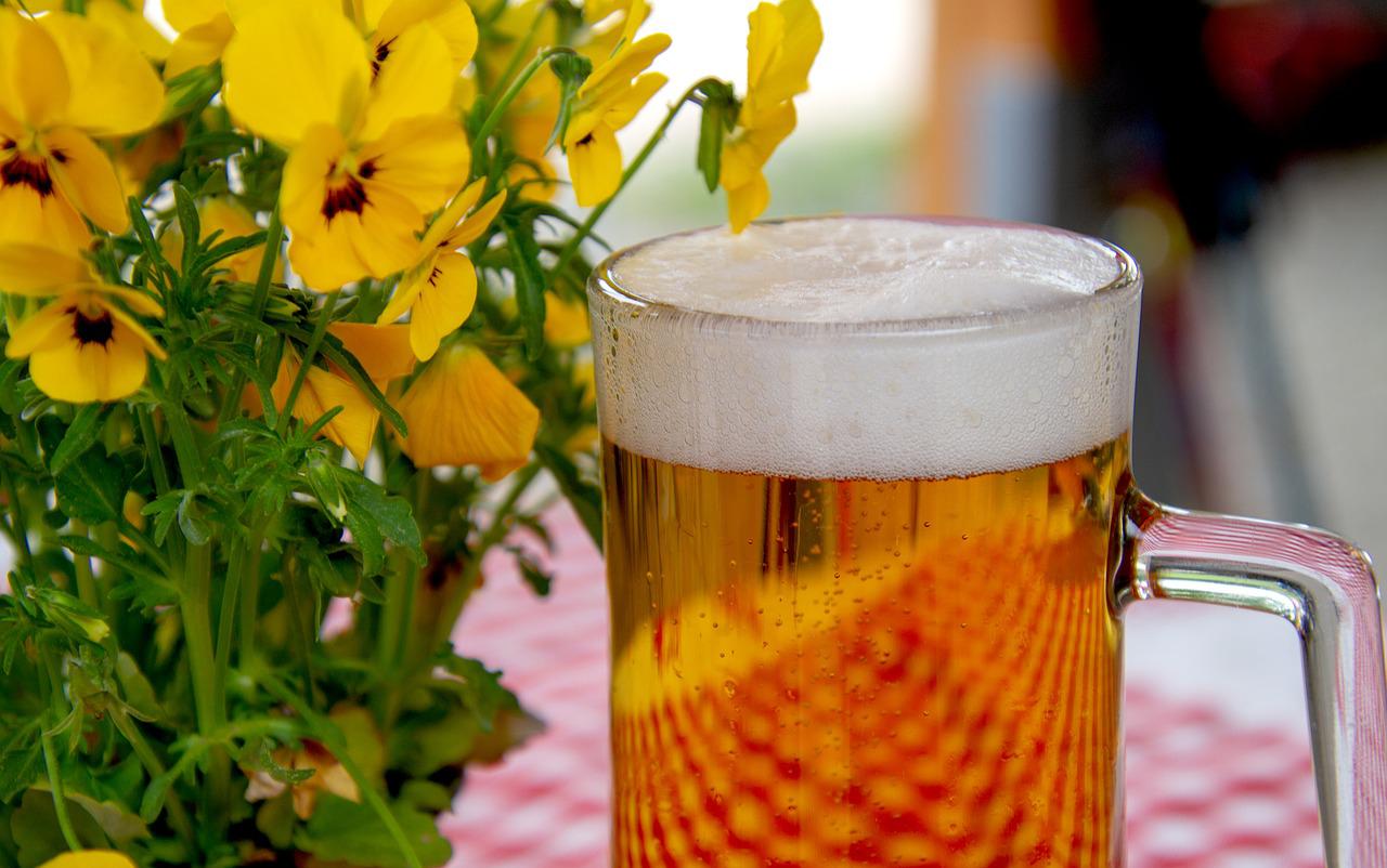 “Beer Could Improve Your Hydration Level” – Expert