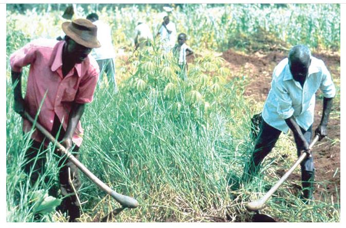 NEPC Urges FG To Provide Security For Farmers