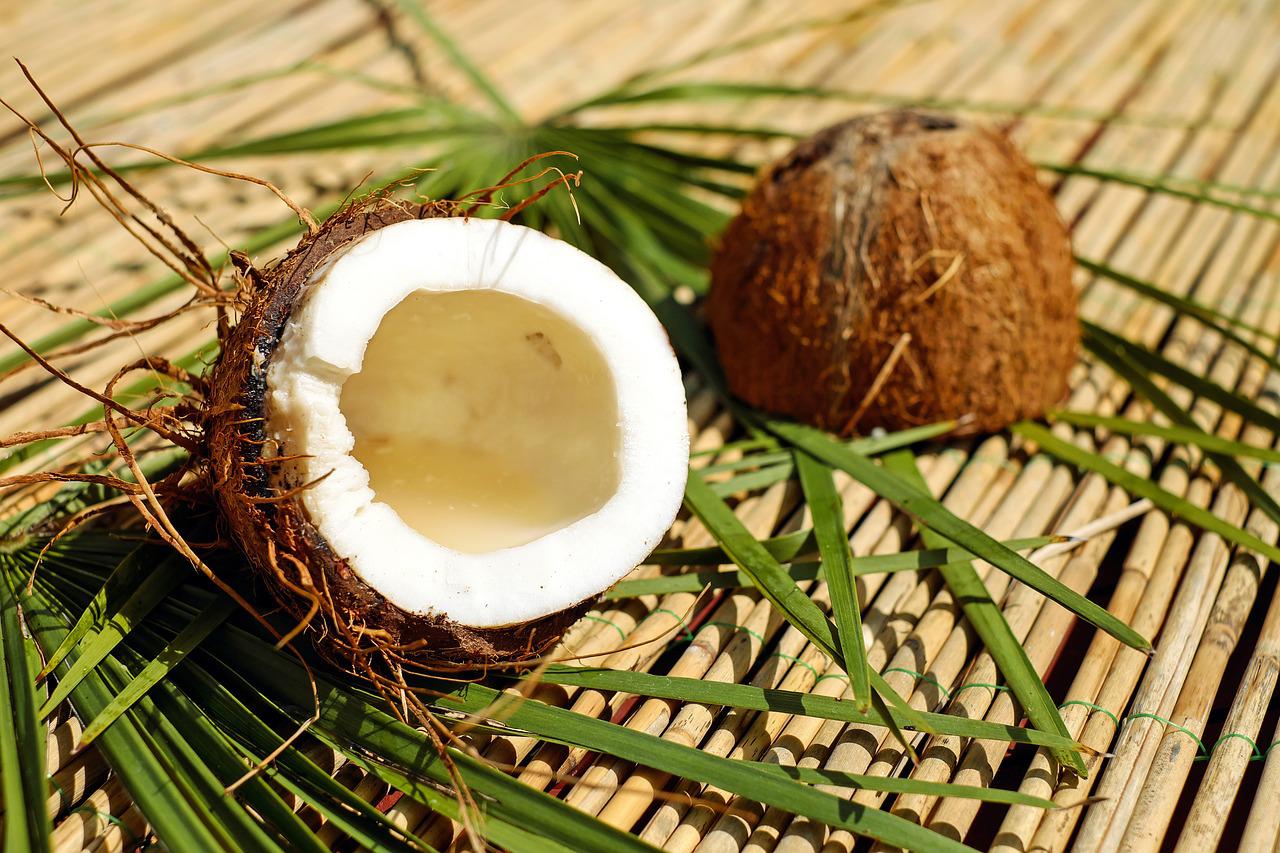 Ghana Export-Import Bank Boosts Coconut Production In New US$3.2m Project
