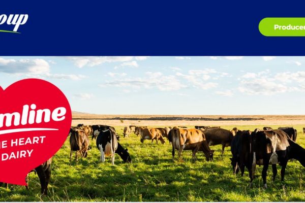 Dairy Group South Africa Launches Own Product Line, Creamline