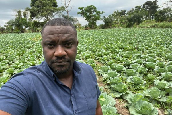 (PHOTOS) Cabbage Farming Is Profitable – John Dumelo Declares