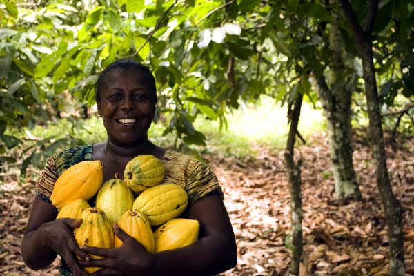 SUPER GRIT! Bolloré Transport & Logistics Modernises Cocoa Sector In Côte D’ivoire.