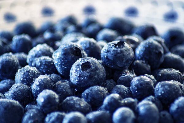 AGROBERRIES TO THE WORLD! Agroberries Limited Expands Blueberry Farming Venture To Morocco