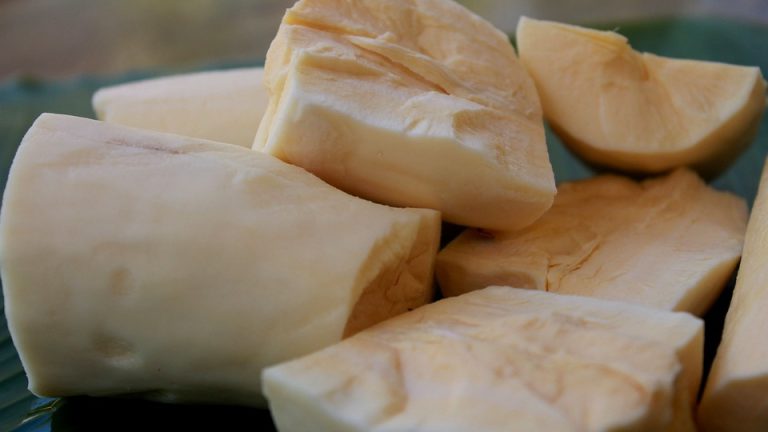 Russia-Ukraine War! Cassava Set To Replace Wheat In Earnest