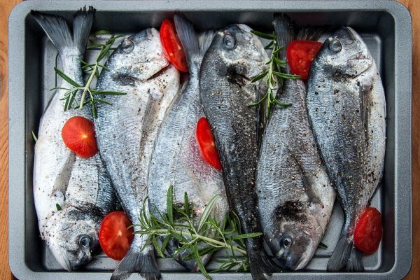 Turkish Investors To Start New Fish Processing Company In Gabon