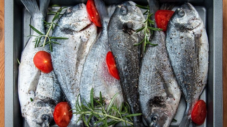 Turkish Investors To Start A New Fish Processing Company In Gabon