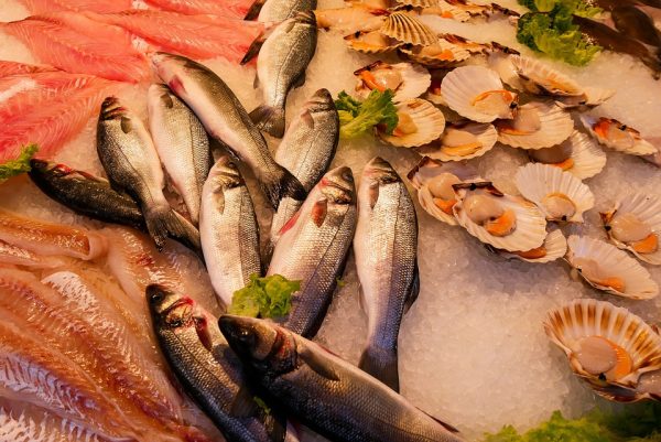 ZAFICO Set To Build State-Of-The-Art Fish Processing Plant For Tanzanians