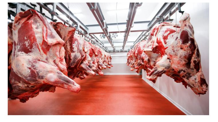 Morocco Commissions US$2.3m Abattoir To Boost Domestic Meat Supply