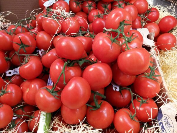 Why FG Wants To Remove Taxes On Tomatoes, Other Raw Food Items – JTB Chair Hints