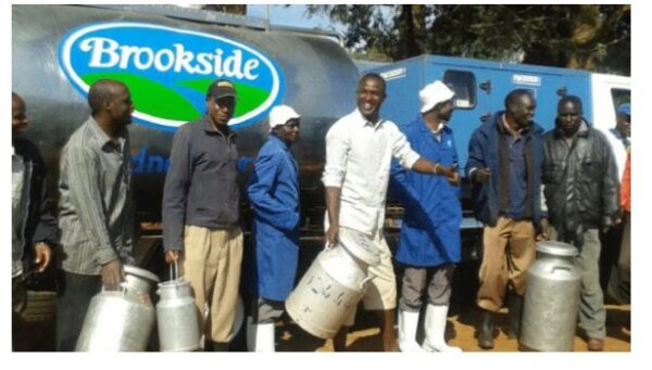 IMPRESSIVE! Brookside pays out KSh711 Million to North Rift milk farmers