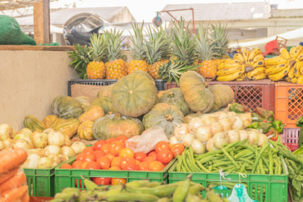 AI Can Address Africa’s Food Security – NCC