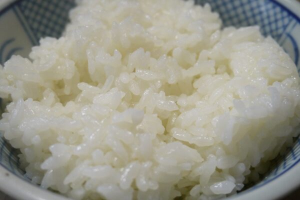 Kebbi, GAIN Introduce Genetically Modified Rice To School Feeding Programme