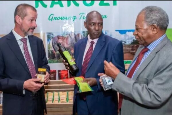 DETERMINED! Kakuzi Expands Macadamia Production To Meet Rising Edible Oil Demand
