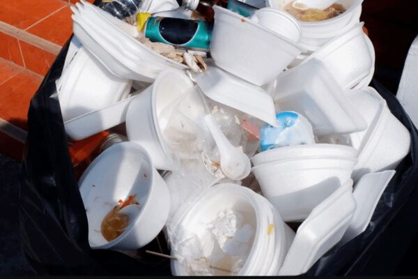Green Revolution: Lagos bans Styrofoam, single-use plastics
