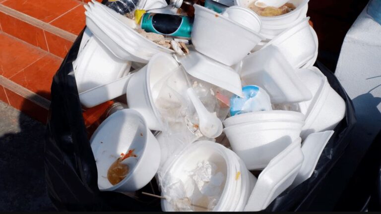 Green Revolution: Lagos bans Styrofoam, single-use plastics