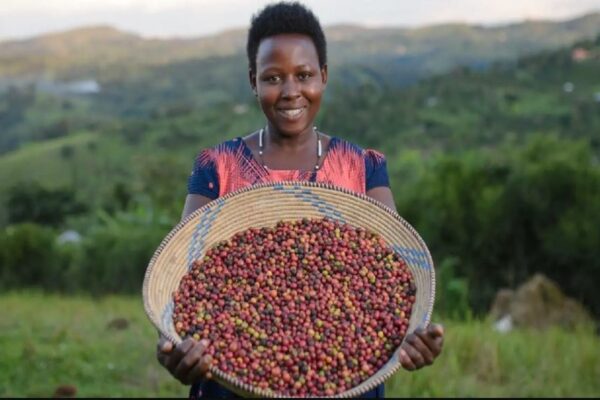 AU declares coffee strategic crop for Africa  