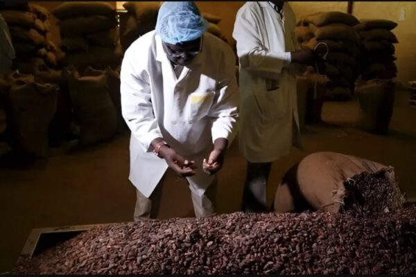  Global chocolate prices affected as two major African cocoa producers face financial crises