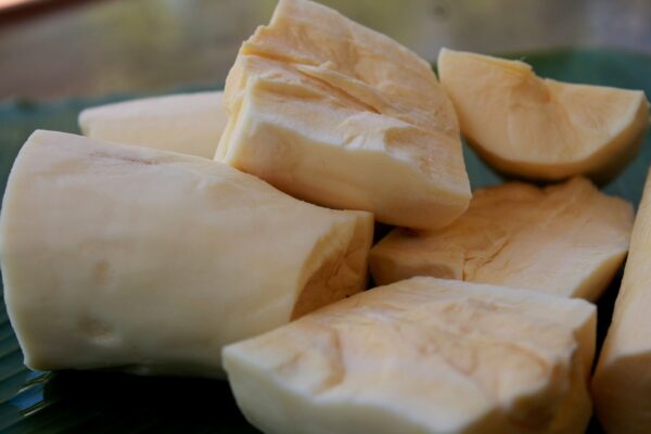 Failure of cassava bread scheme robs Nigeria of $200m — NCGA